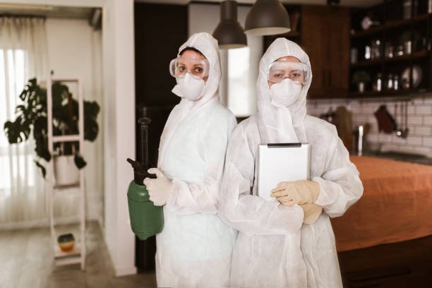 Bed bug treatment services in Hyderabad