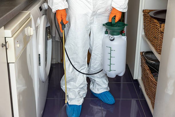 Bed bug treatment services in Hyderabad